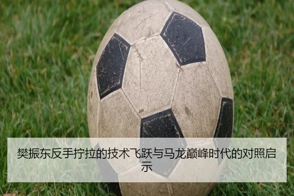 fan-zhen-dong-fan-shou-ning-la-de-ji-shu-fei-yue-yu-ma-long-dian-feng-shi-dai-de-dui-zhao-qi-shi-3-582.jpg